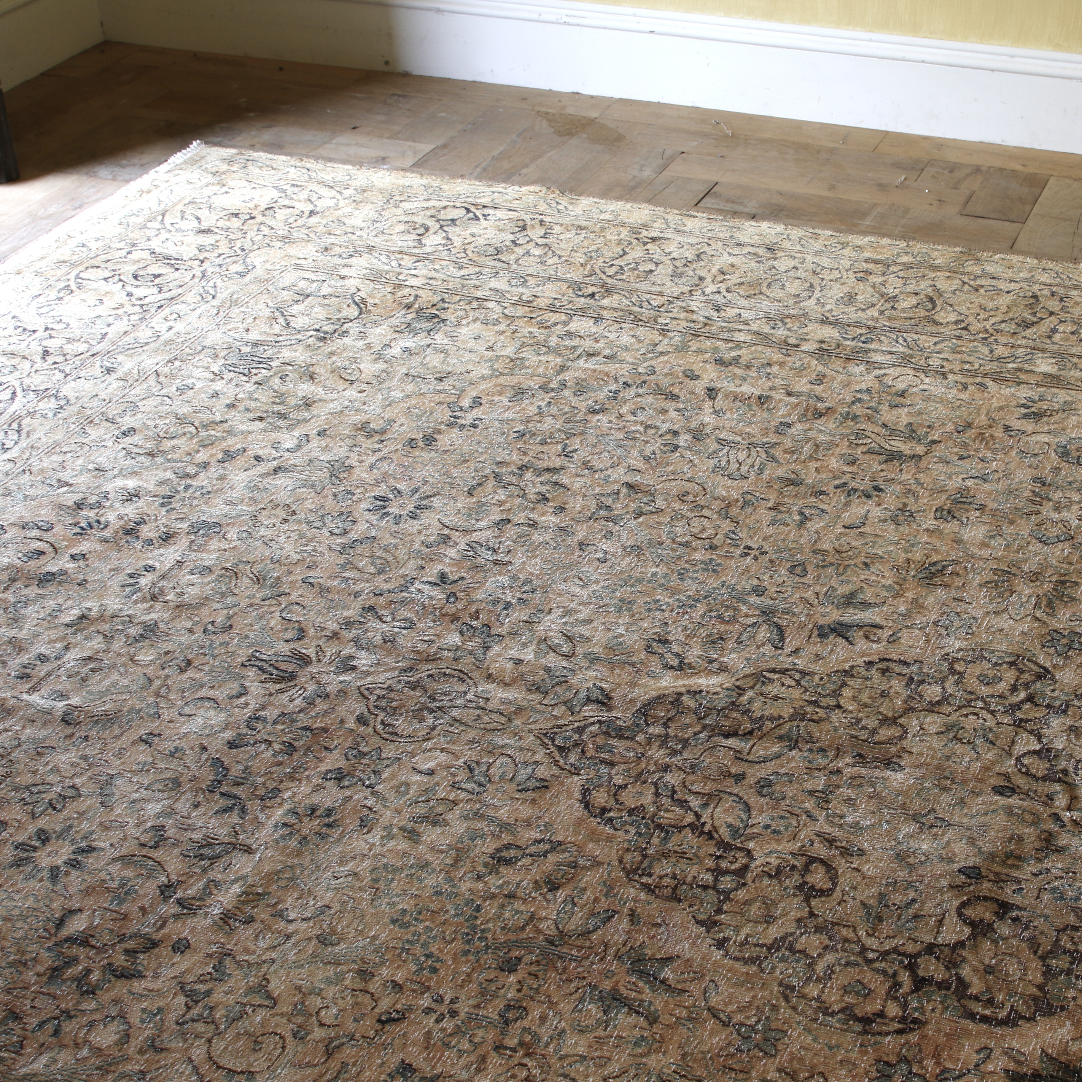 Kerman Rug / Salmon and Blue